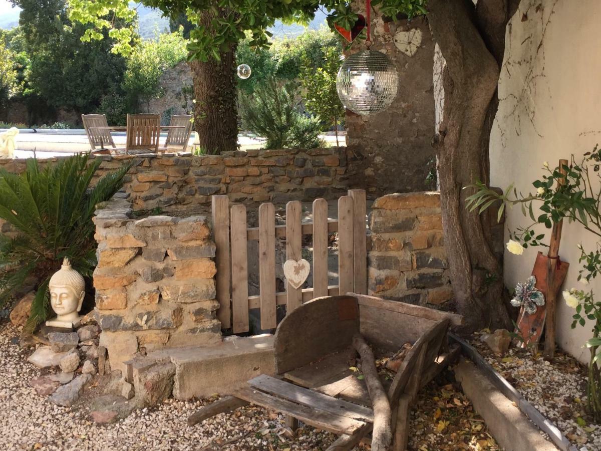 L Ancien Moulin A Huile Hotel Tuchan Buitenkant foto